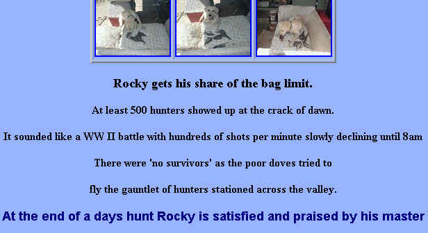 1Rocky_Eats.jpg