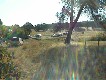 sm_dovehunt 001.jpg (4725 bytes)