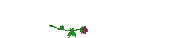 gard2.gif (27797 bytes)