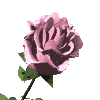 gardrose2.gif (10084 bytes)