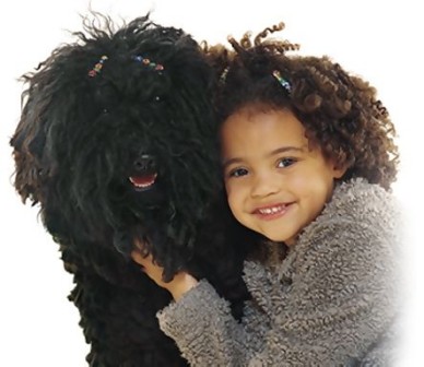 dogkid_4.jpg (30584 bytes)