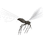 skeeter_fly_md_wht.gif (12223 bytes)